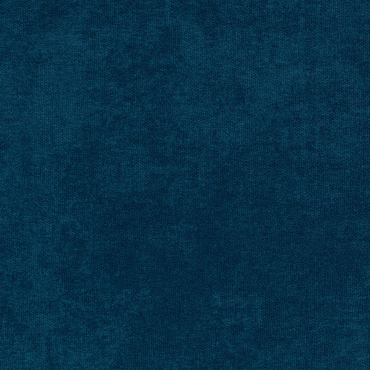 Planet Legion Blue