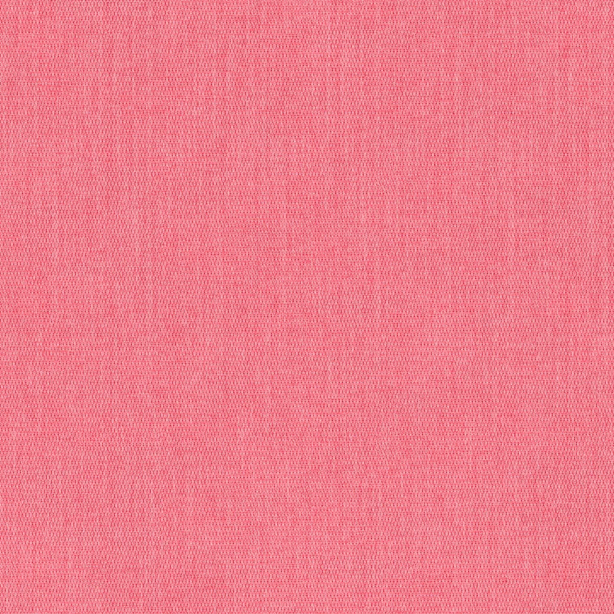 Firenze Bubble Gum