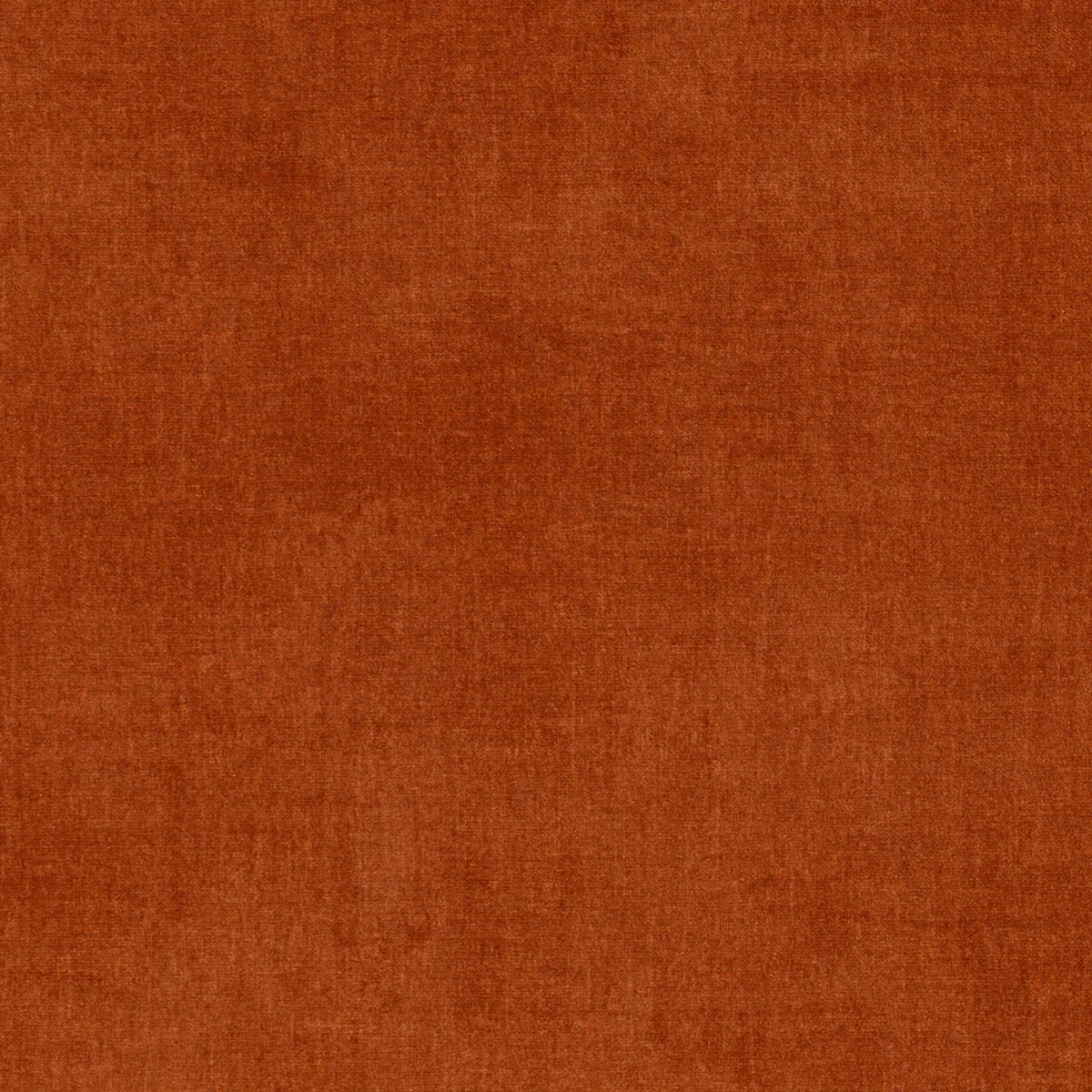 Moss Rust