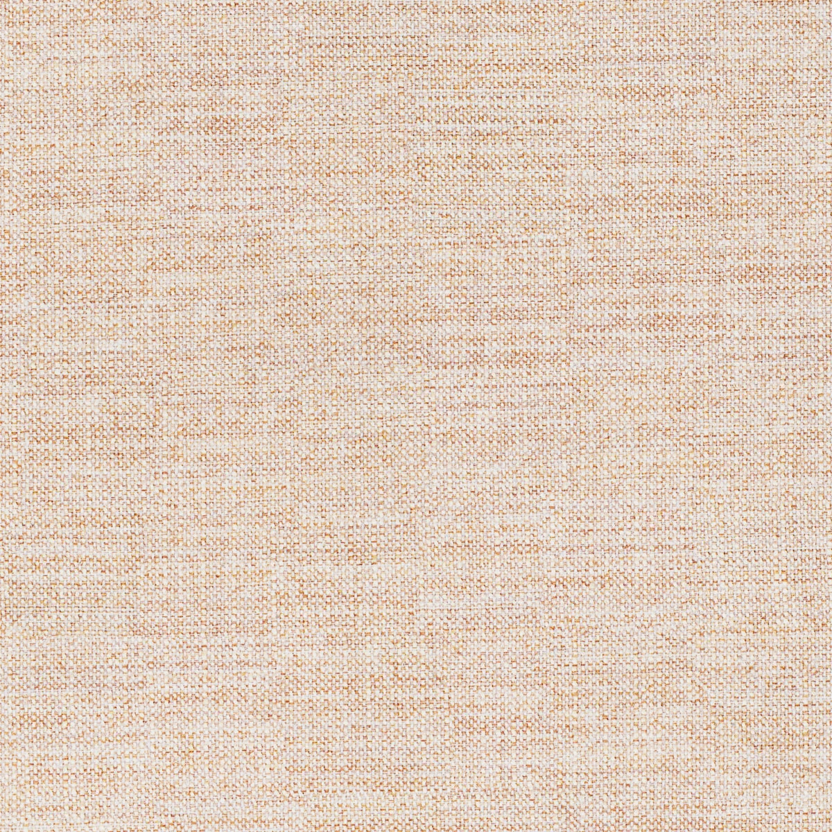 Vega Cream