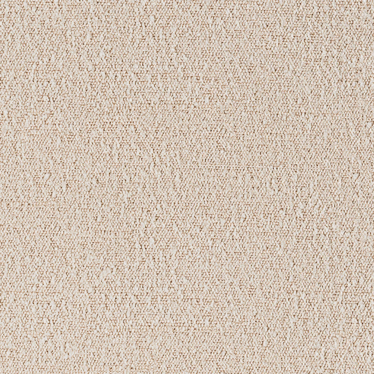 Pasha Dune