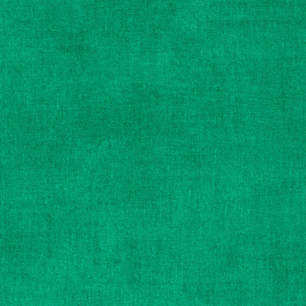 Moss Grass Green