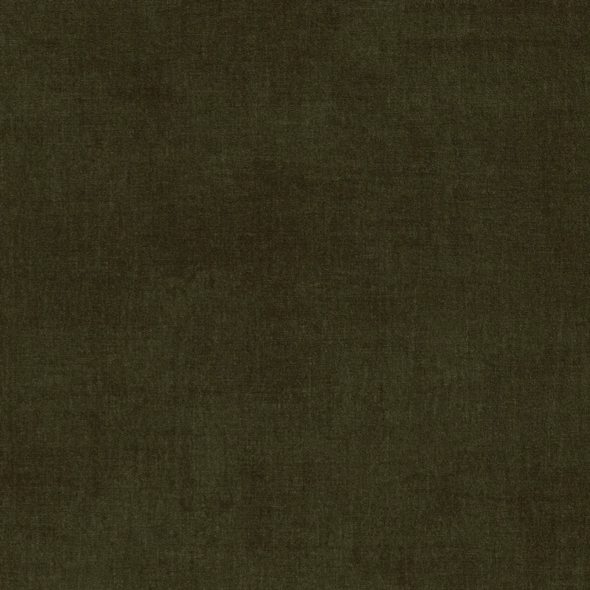 Moss Olive